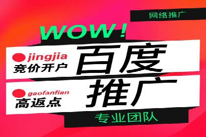 实战经验分享：SEO与SEM优化案例精选
